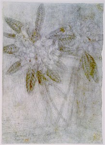 Image description is not available for 1981.150